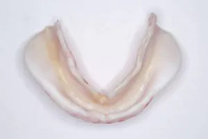 1501_6598236