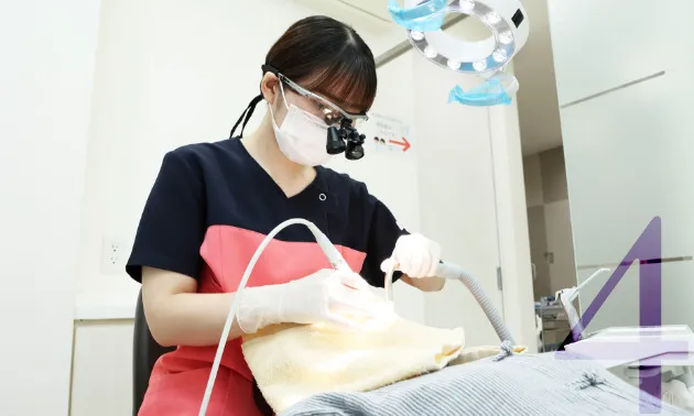 『再発させない治療』と『根本的治療』に欠かせない予防治療